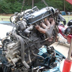 S7300295