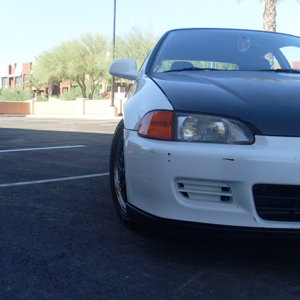 Picture_074