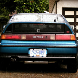 Brads CRX